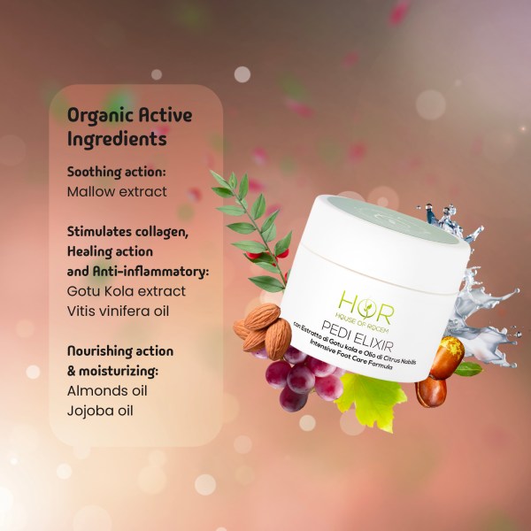 Regenerating Care Box – Body and Feet