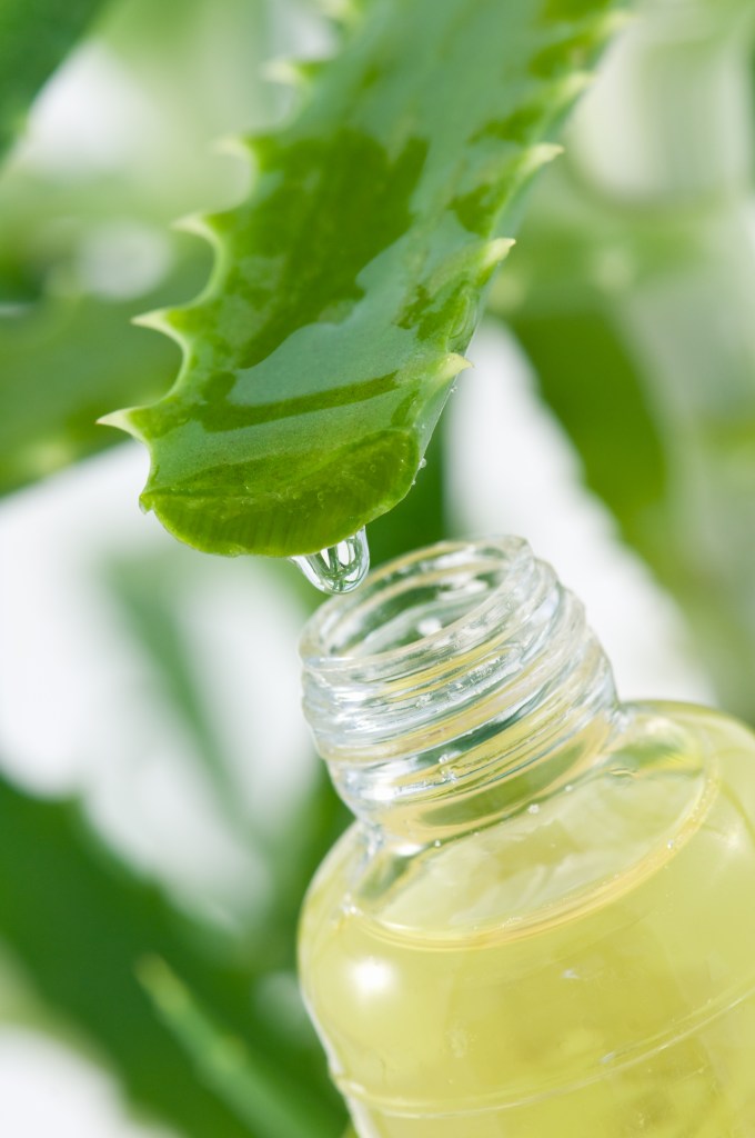 Close-up of an aloe vera leaf dripping natural gel into a clear bottle containing yellow liquid.