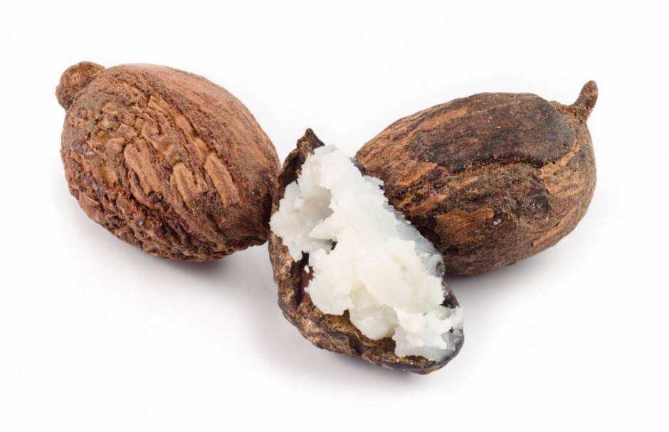 A close-up image of two brown seeds with a cracked shell revealing soft white fat inside, resembling shea nuts.
